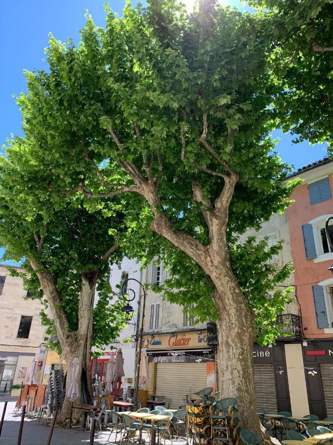 Fleurs De Provence Apartment L'Isle-sur-la-Sorgue Exterior photo